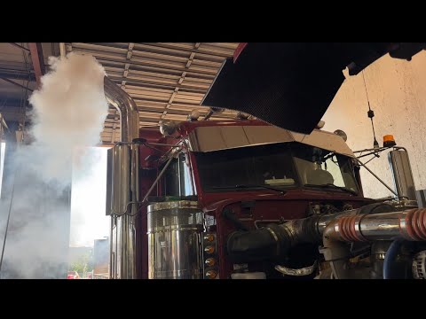 Rooster Had Way More Damage Than We Thought!!