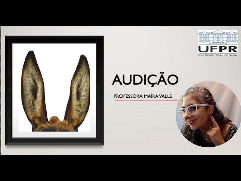 AULA 8: Audição