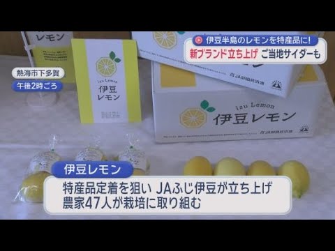 YouTube Video 国産レモン発祥の地　静岡・熱海市で新しいブランド「伊豆レモン」の発表会