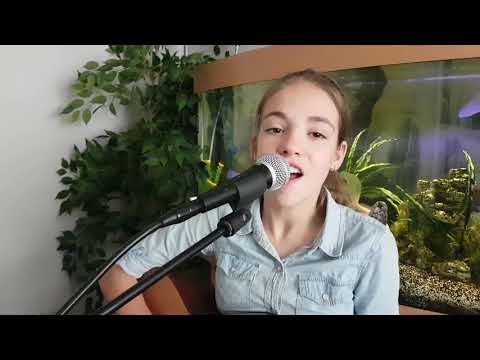 Sam Smith too good at goodbyes cover by Allie Sherlock