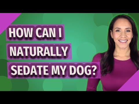 How can I naturally sedate my dog?