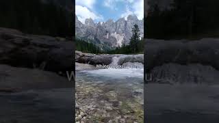 Download lagu welcome to jungle - gunz n' roses #lyrics #songlyrics #fy #fyp #gunsnroses mp3