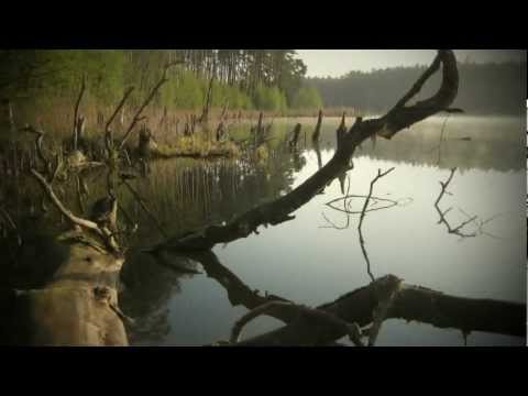 Naturschutz in Deutschland | Rückblicke - Einblicke - Ausblicke