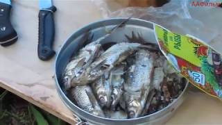 Отдыха и рыбалки в карелии