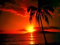 ARTURO SANDOVAL  RED MOON