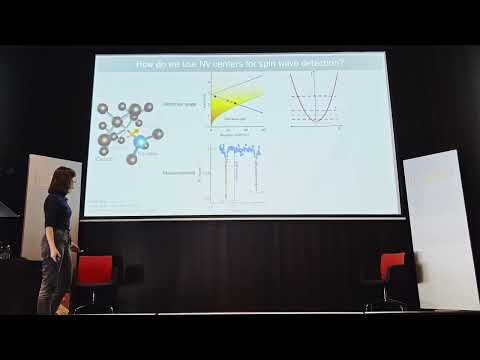 NanoMRI7 - Brecht Simon