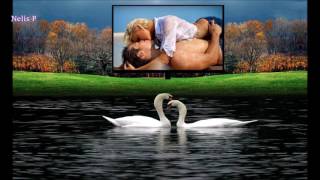 You Tube Nelis P = Charley Pride = ( Amazing Love )