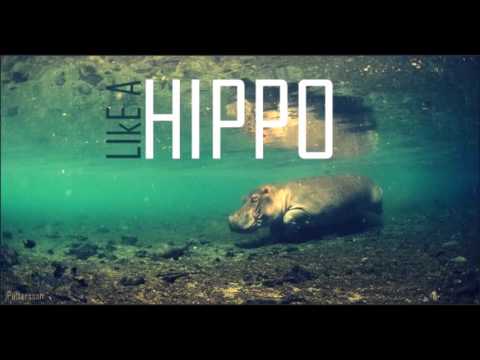 JPATTERSSON - Like A Hippo