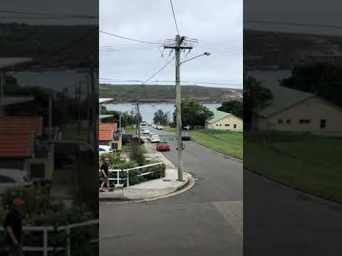 Farewell Waverley gas buses tour