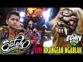 BUTO GEDRUK SALEHO JOS#MG 86#LIVE IN KRANGEAN NGABLAK FULL HD