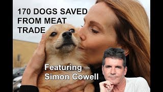 170 DOGS SAVED FROM DOG MEAT TRADE / Featuring Simon Cowell & Pete Wicks