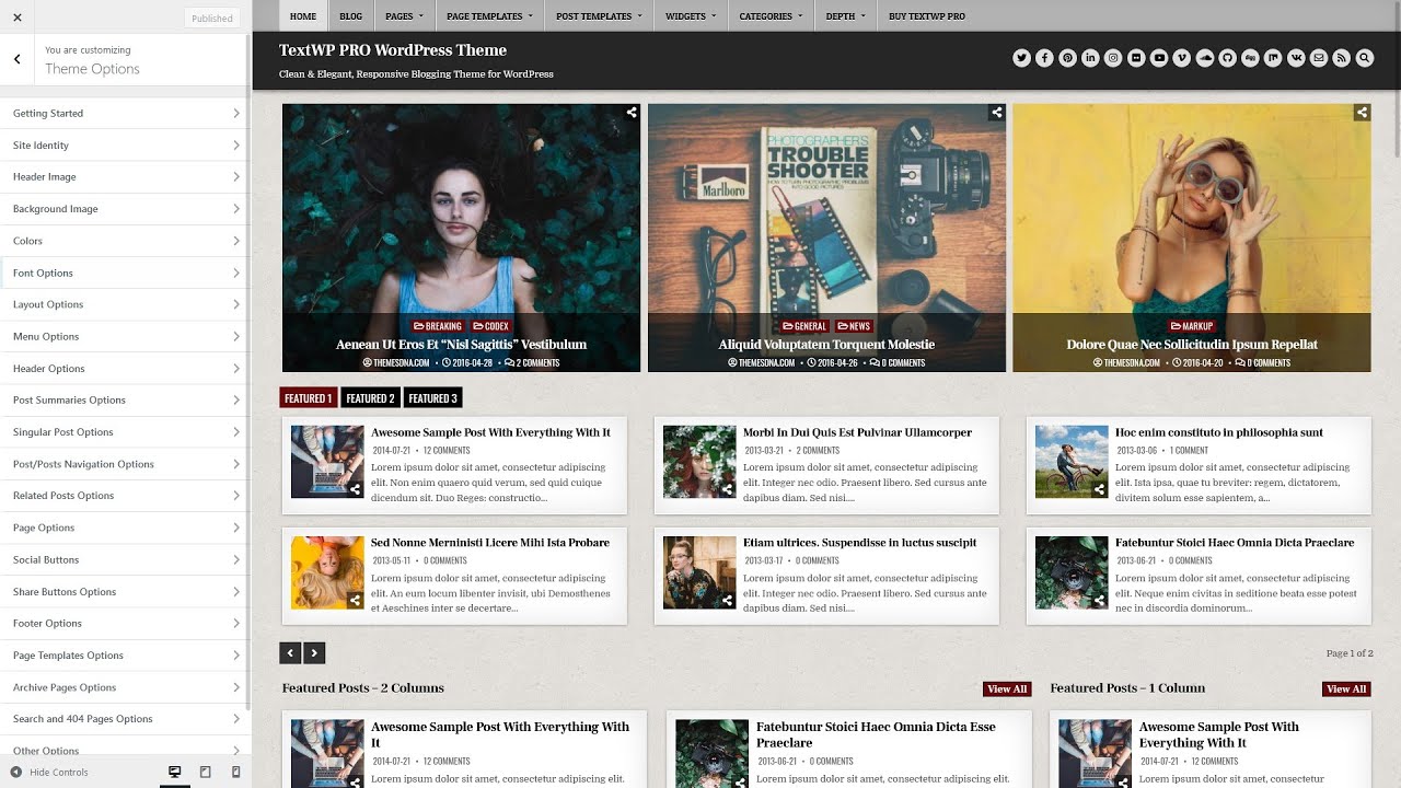 Customizer Theme Options - TextWP PRO WordPress Theme