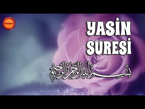 Yasin Suresi - Nasser al Qatami