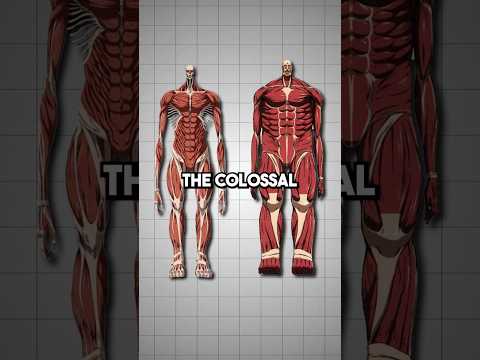 Colossal Titan vs Wall Titans | AOT Explained  #attackontitan #armin #aot