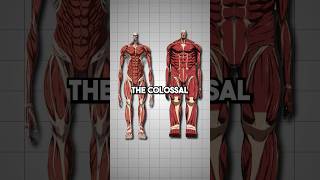 Download lagu Colossal Titan vs Wall Titans | AOT Explained  #attackontitan #armin #aot mp3