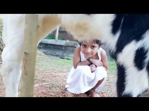 നമ്മുടെ മനസ്സിലലിയാൻ ജാനകികുട്ടി വരുന്നു...