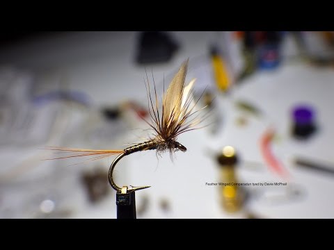 Feather Winged Comparadun (DryFly) by Davie McPhail