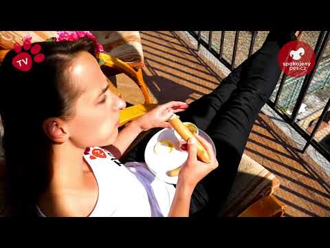 Náhled pro video reference