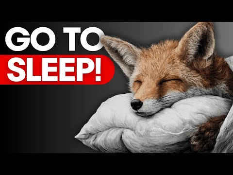 The Forest Shrines of Shinto Japan — Spirits Among the Trees | Soothing Sleep Storytelling