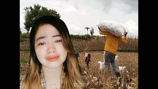 Download lagu ANAK TANI - vidio Tiktok 2022 - DUSTA CINTA - Maulana Wijaya - STORY WHATSAPP TERBARU 2022 mp3 Download lagu ANAK TANI - vidio Tiktok 2022 - DUSTA CINTA - Maulana Wijaya - STORY WHATSAPP TERBARU 2022 mp3