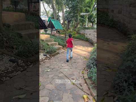 Keizo kabur ketakutan liat burung hantu tanpa bola mata⁉️
