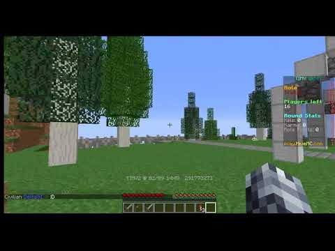 Minecraft / Report / RDM / Hivemc / Raripion