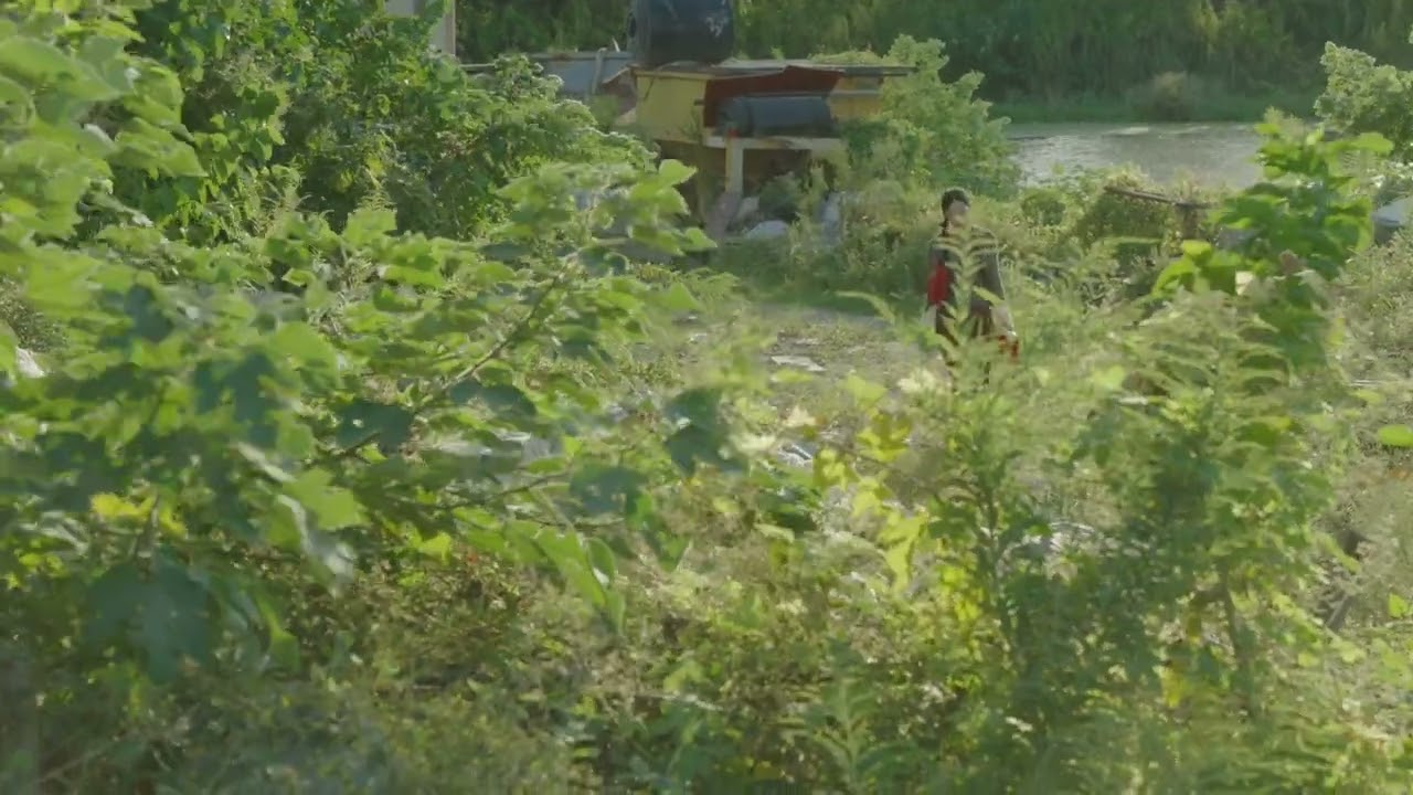 Blue and Green - TRAILER