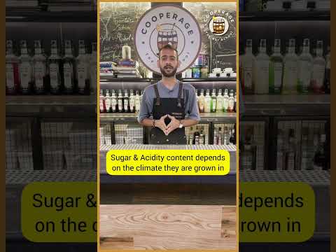 You Must Know these 4 Noble Grape Varieties