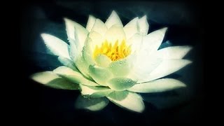 Killswitch Engage - The End Of Heartache - Piano Cover