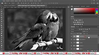 Adobe Photoshop Temel EÄŸitim Seti 2 Ayarlar Paneli