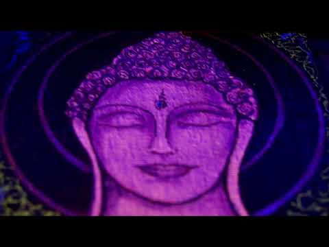 Kool B Poetry Music Video