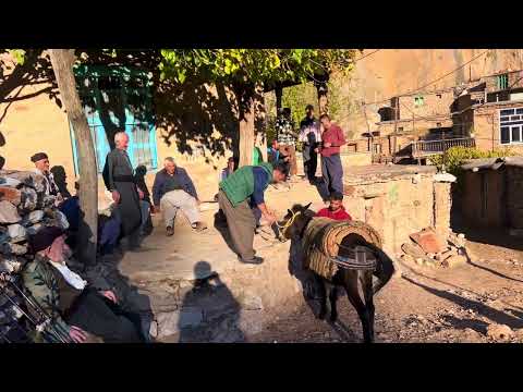 Interesting daily life in the village_Shoeing horses the traditional way