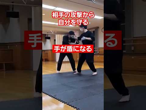 とっさの防御でもしっかり守れる。#護身術 #剣護身術 #神戸 #武道 #女性のための護身術 #強くなる #中国拳法 #shorts