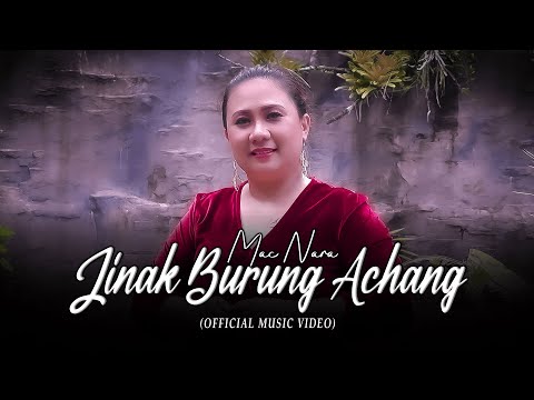 Jinak Burung Achang (Remix) - Mac Nara (Official Music Video)