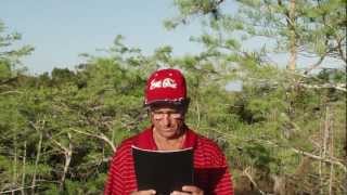 Catholic Church, False Religions and Babylon of Old are Not Babylon the Great