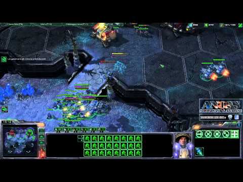 comment gagner zerg vs terran