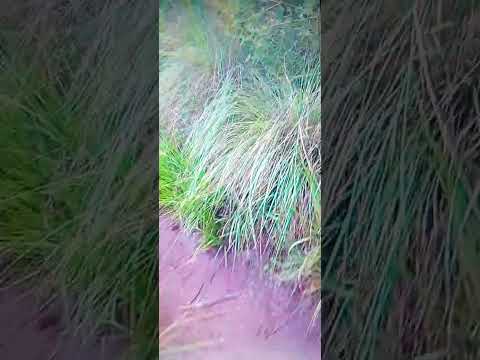  la unión de los ríos  en Alpa corral cba.