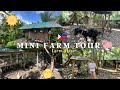 FARM VLOG: Mini Farm Tour #philippines #youtube #farm #farmvlog #minifarm #farmtour
