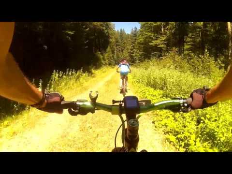 05 08 2016  Camenca Schitul Tarcau