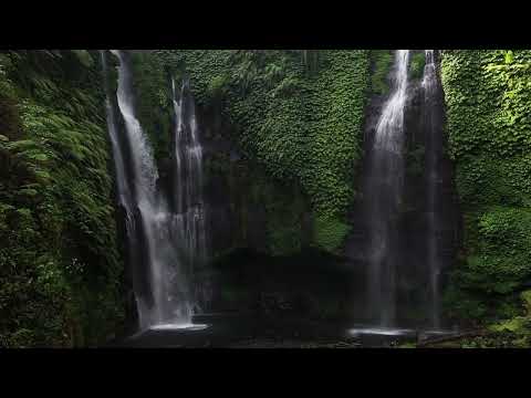 4K Ultra HD Nature Scenery: Relaxing Forest and Waterfall Video Template