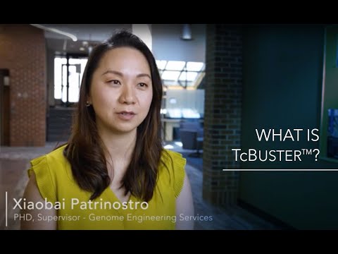Hear From Our Scientists - What Is TcBuster?