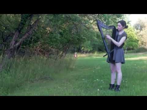 nature loving music at its best