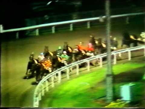 Harness Racing,Harold Park-08/04/1982 (Jikk Adios-B.P.Hancock)