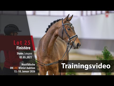 Online Winter-Auktion 2026 Training Lot 25 Finistère Stute v. Fusionist - Weltmeyer