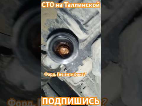 СТО на Таллинской. Неисправность системы охлаждения. #автосервис #фит #тюмень #ремонт #фитсервис