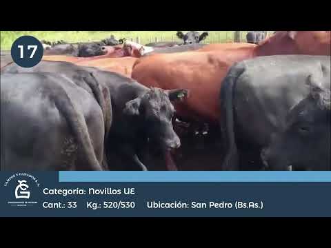 Lote NV UE - HILTON San Nicolás Bs AS