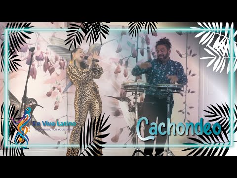 En Vivo Latino video.