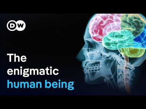 What Distinguishes Humans from Animals?
