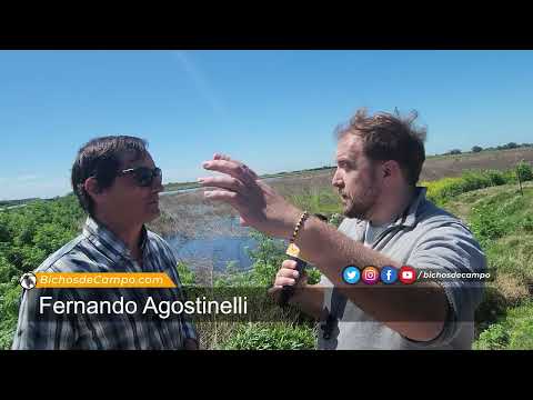 Fernando Agostinelli, productor agropecuario de Roque Pérez
