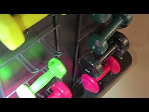 Basement Bombarded with Ants in Manalapan, NJ